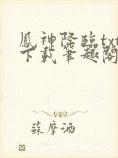 凤神降临txt下载笔趣阁