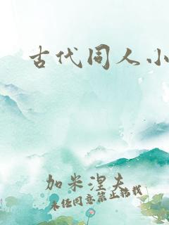 古代同人小说h