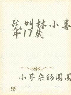 我叫林小喜,今年17岁