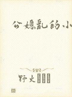 公媳乱的小说