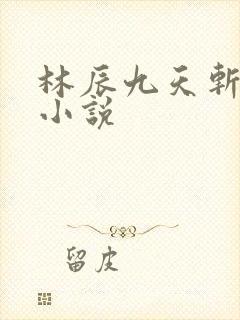 林辰九天斩神诀小说