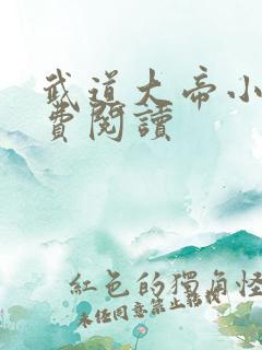 武道大帝小说免费阅读