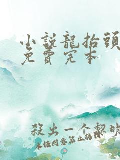 小说龙抬头张龙免费完本