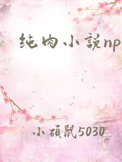 纯肉小说np文