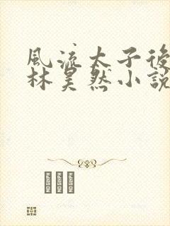 风流太子后宫传林昊然小说在线阅读