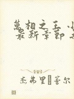 万相之王 小说 最新章节 无弹窗