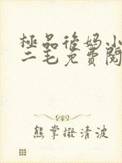 极品后妈小说王二毛免费阅读全文
