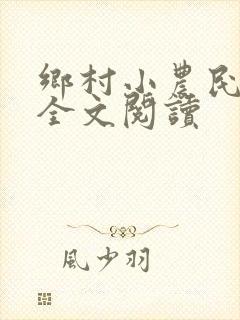 乡村小农民小说全文阅读