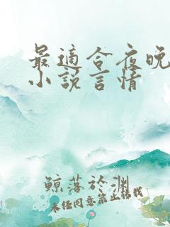 最适合夜晚看的小说言情