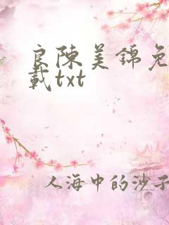 良陈美锦免费下载txt