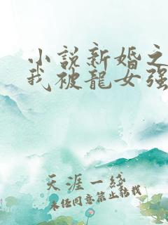 小说新婚之夜:我被龙女强娶了免费阅读