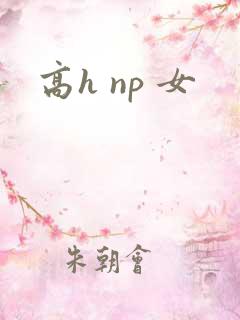 高h np 女