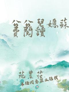 公公儿媳苏玥免费阅读