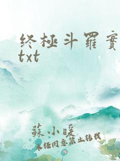 终极斗罗实体书txt