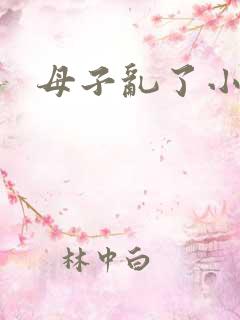 母子乱了小说