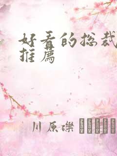 好看的总裁小说推荐