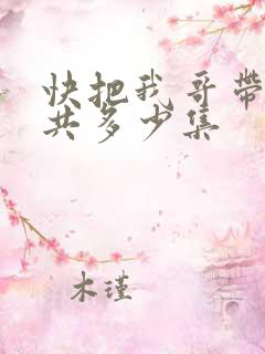 快把我哥带走一共多少集