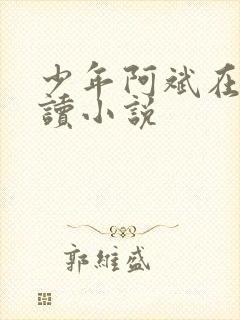 少年阿斌在线阅读小说
