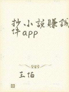 抄小说赚钱的软件app