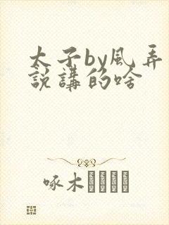 太子by风弄小说讲的啥