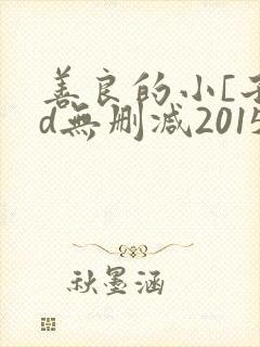 善良的小[子hd无删减2015