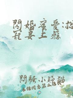 闪婚蜜爱:总裁宠妻上瘾