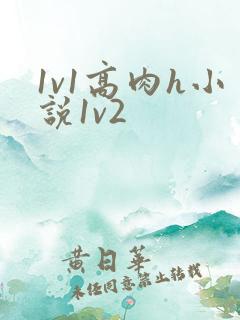 1v1高肉h小说1v2