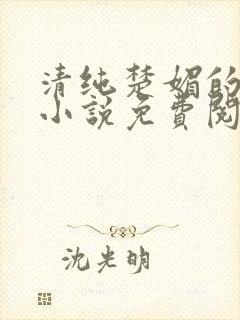 清纯楚媚的快穿小说免费阅读