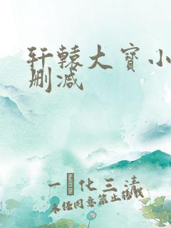 轩辕大宝小说无删减