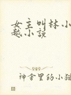 女主叫林小小穿越小说