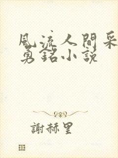 风流人间采薇,勇铭小说