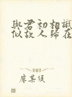 与君初相识·恰似故人归在线观看
