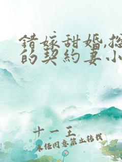错嫁甜婚,总裁的契约妻小说