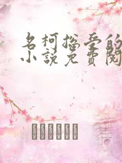 名柯总受的堕落小说免费阅读