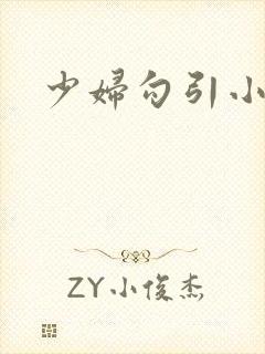 少妇勾引小说