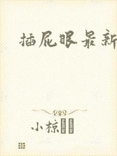 插屁眼最新小说