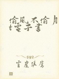 偷风不偷月txt电子书