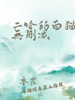 二哈的白猫师尊无删减