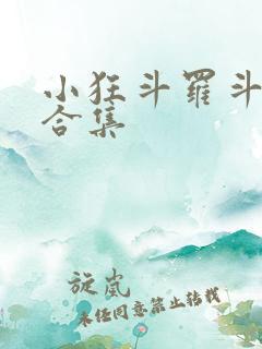 小狂斗罗斗破大合集