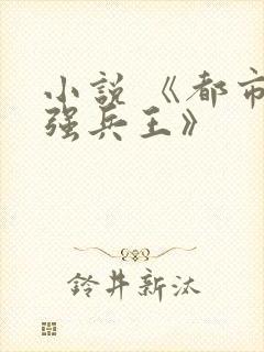 小说 《都市最强兵王》