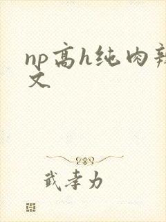 np高h纯肉辣文