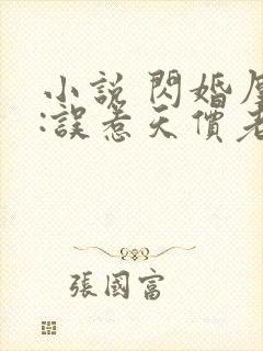 小说 闪婚厚爱:误惹天价老公