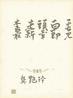 李老头白柔小说最新章节免费阅读