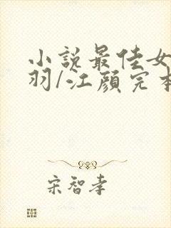 小说最佳女婿林羽/江颜完本