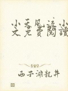 小天风流小说全文免费阅读无弹窗