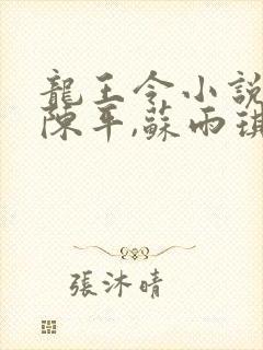 龙王令小说主角陈平,苏雨琪
