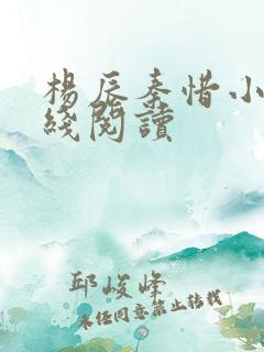 杨辰秦惜小说在线阅读