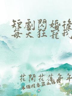 短剧闪婚后大叔每天狂宠我