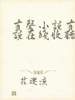 有声小说有声小说在线收听