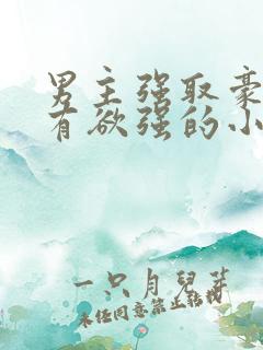 男主强取豪夺占有欲强的小说